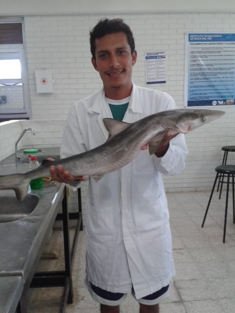 marka.php