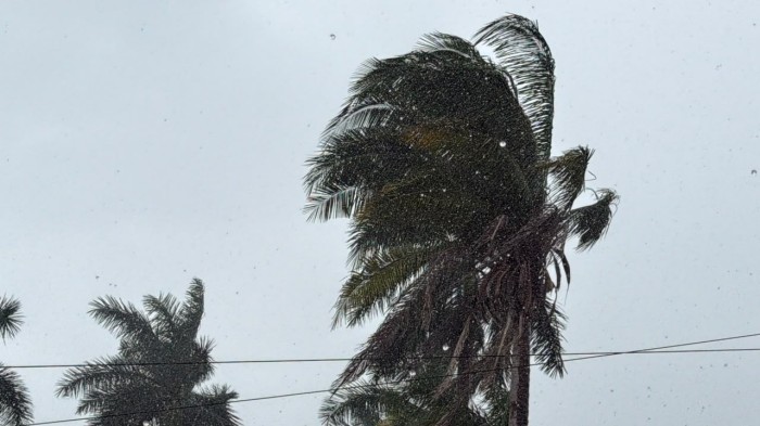 marka.php